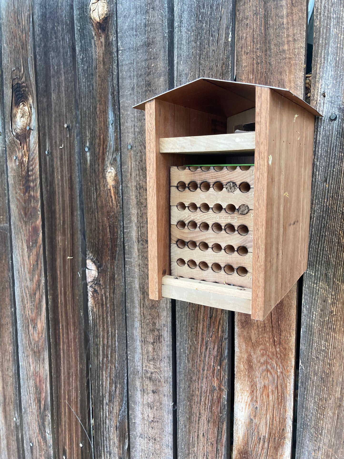 Native Bee Hotel Kit