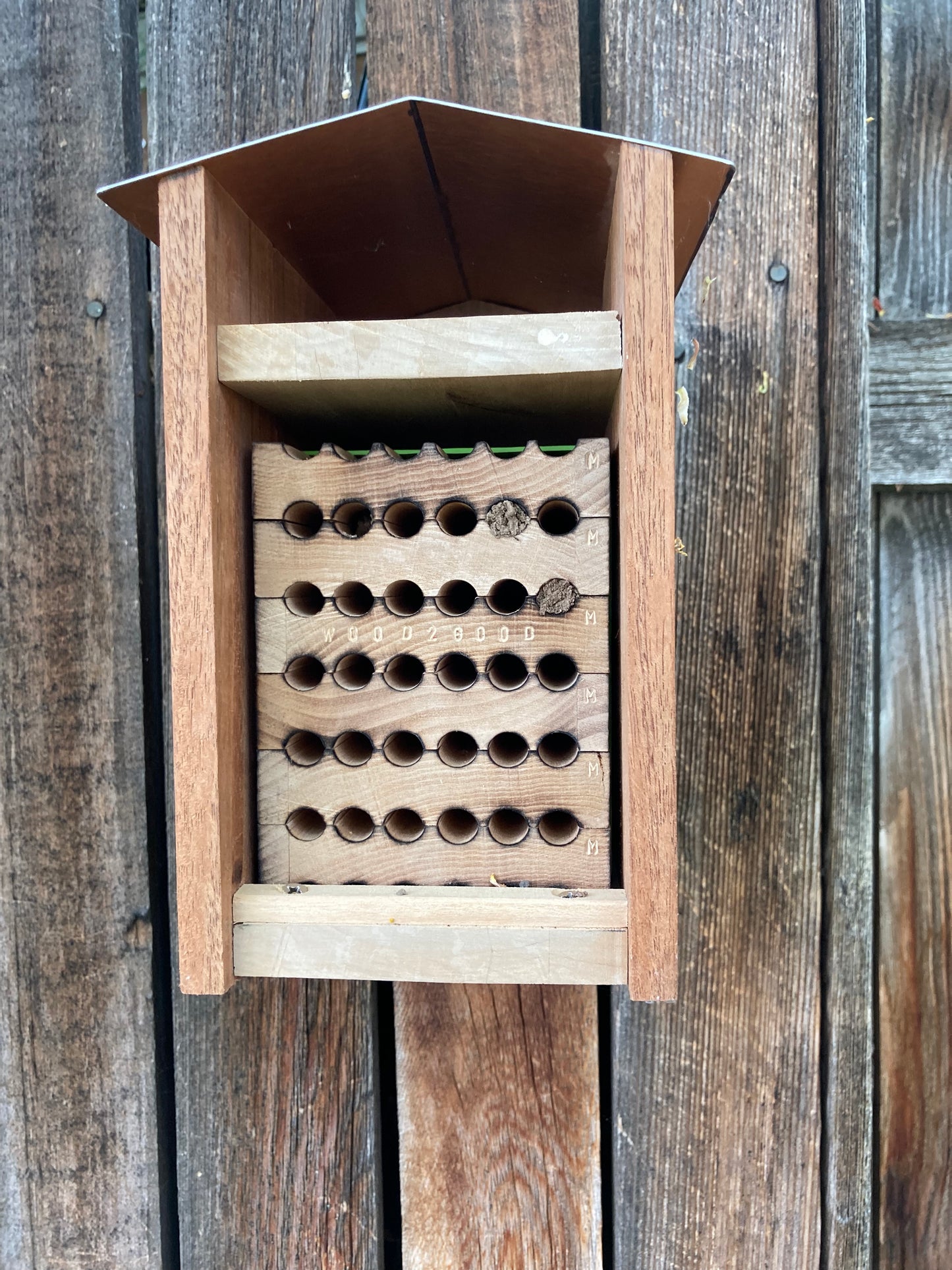 Native Bee Hotel Kit