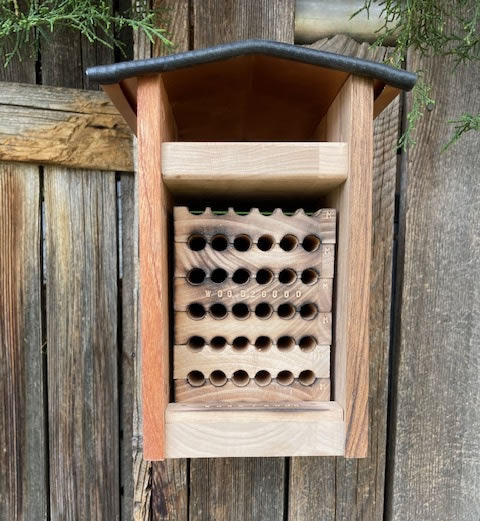 Native Bee Hotel Kit