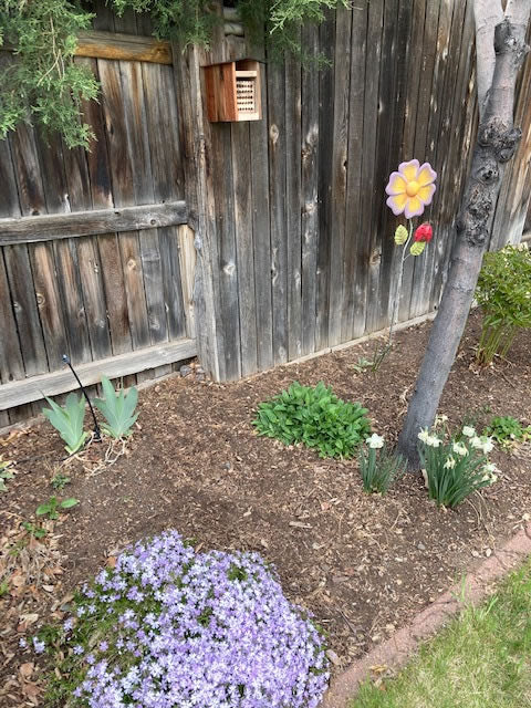 Native Bee Hotel Kit